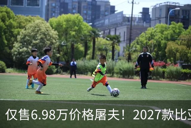 仅售6.98万价格屠夫！2027款比亚迪元UP飞驰版，长续航代步更省钱