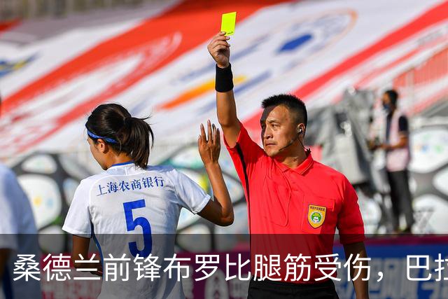 桑德兰前锋布罗比腿筋受伤，巴拉德同样无缘对阵布莱顿