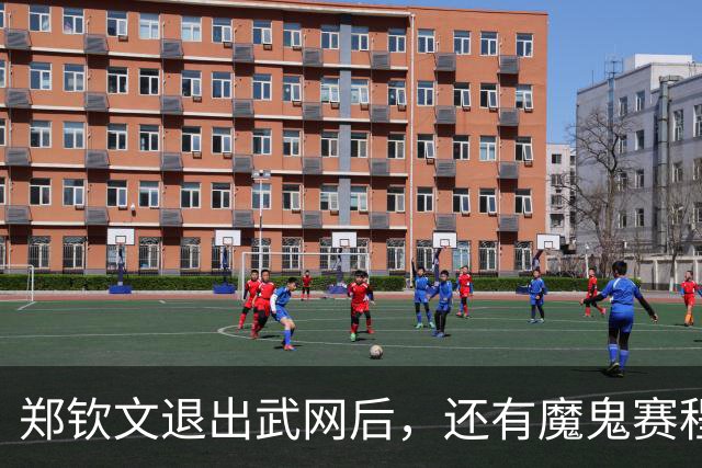 郑钦文退出武网后，还有魔鬼赛程：21天打3站比赛，冲击世界前15